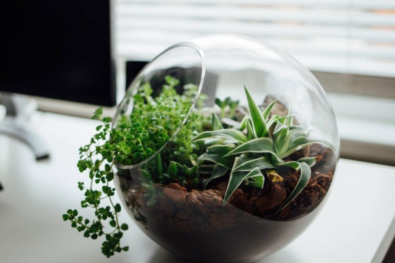 Ecological System in Office
